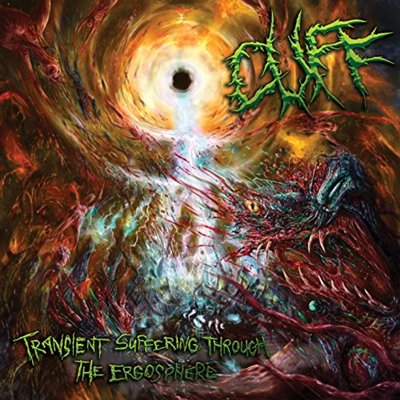 Cuff TRANSIENT SUFFERING THROUGH THE ERGOSPHERE CD