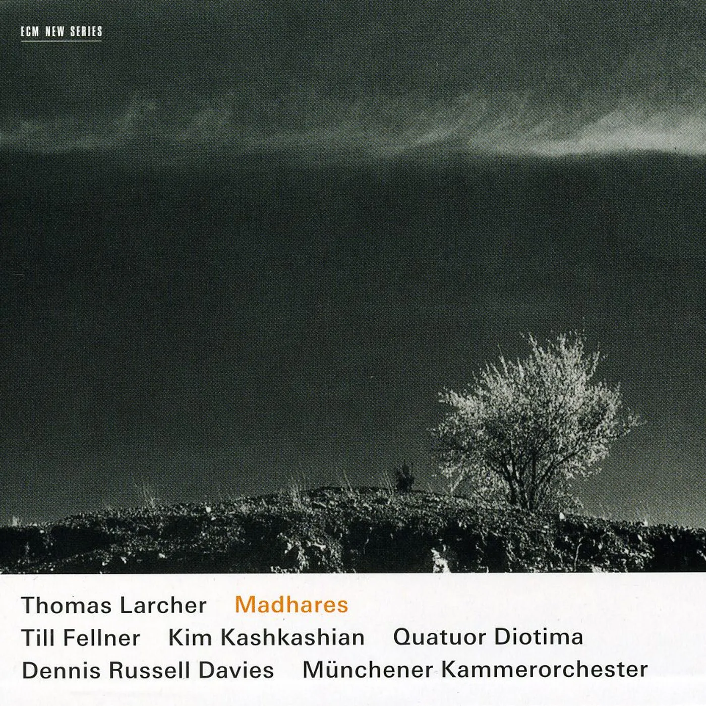 Thomas Larcher MADHARES CD