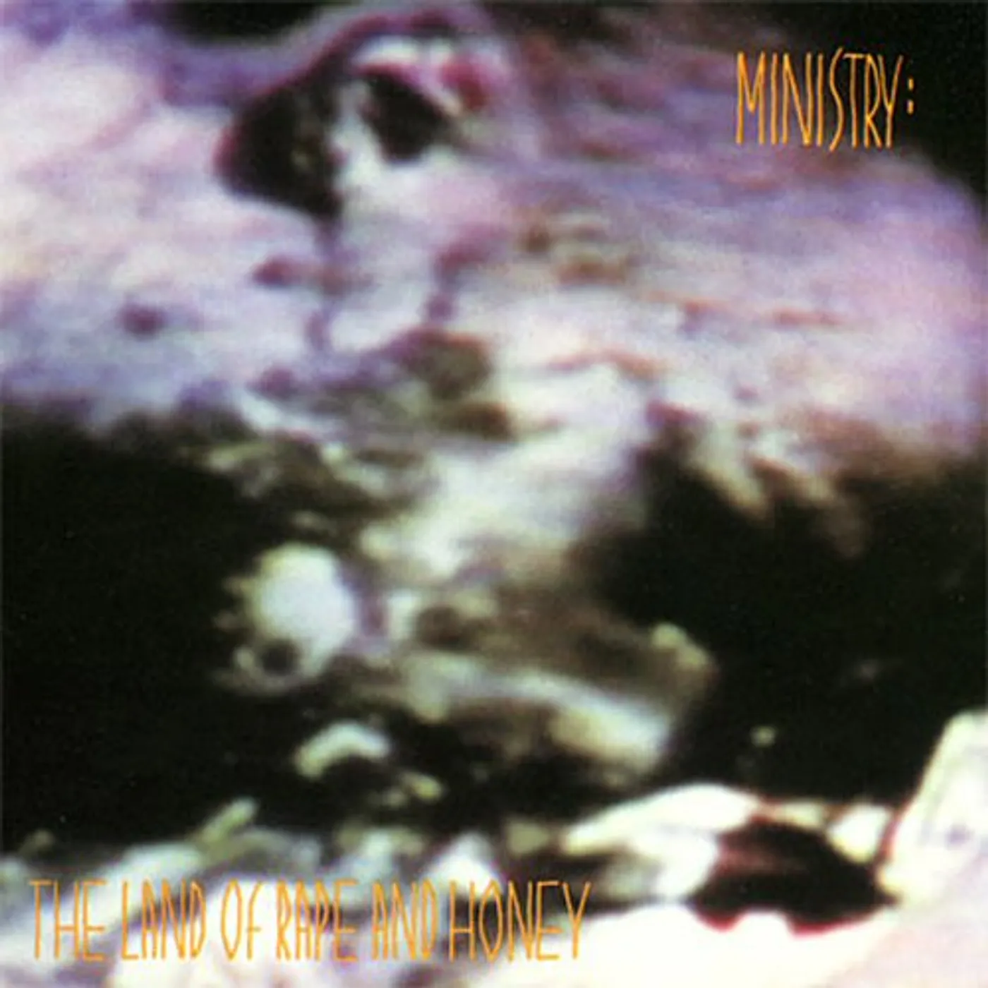 Ministry Land Of Rape and Honey Vinyl Record