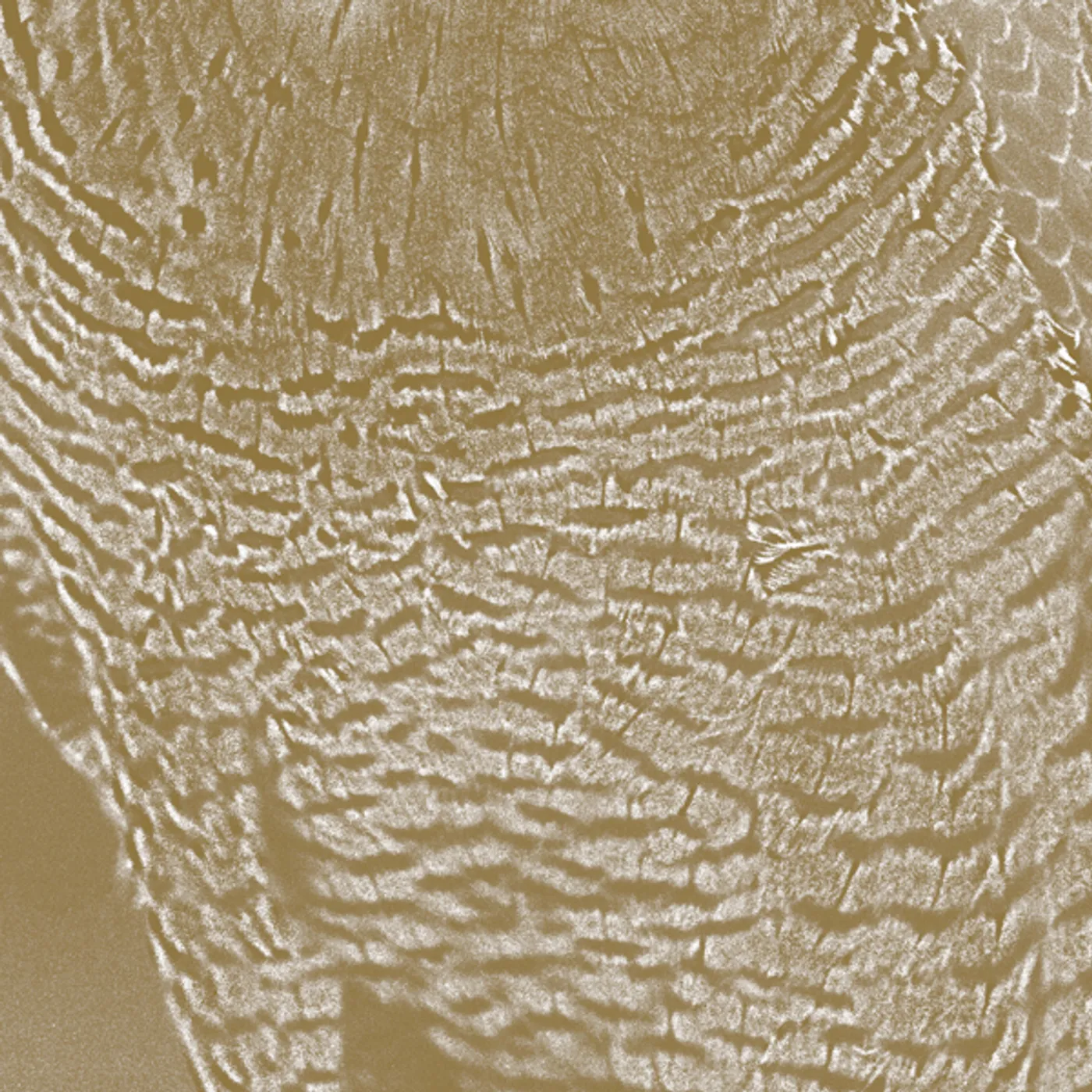 Lawrence English PEREGRINE CD
