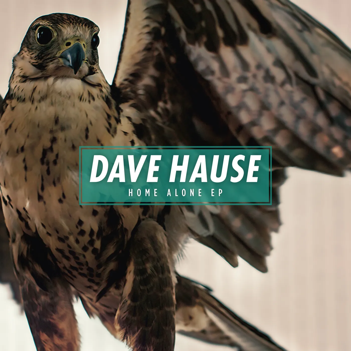 Dave Hause HOME ALONE EP Vinyl Record