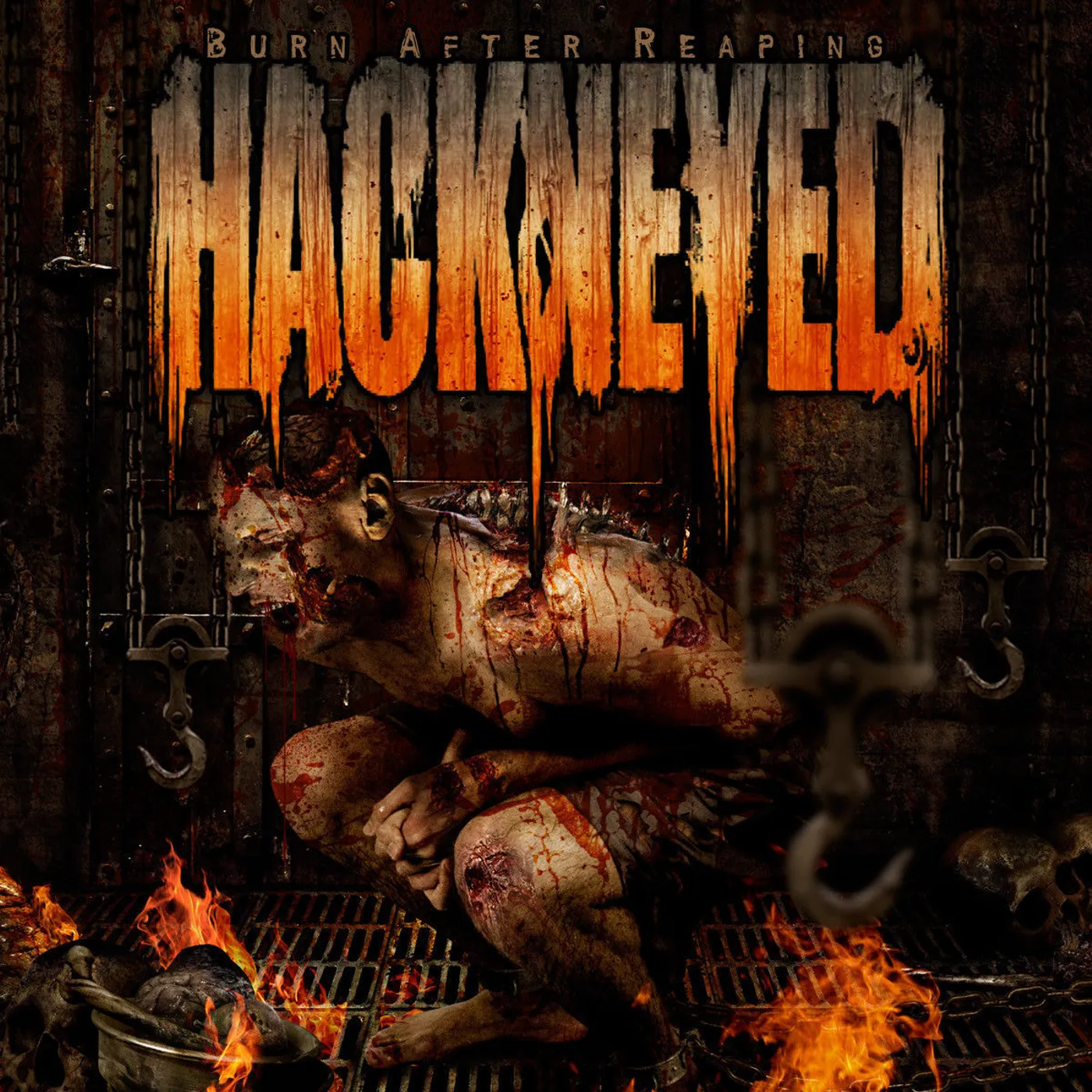 Hackneyed BURN AFTER REAPING CD