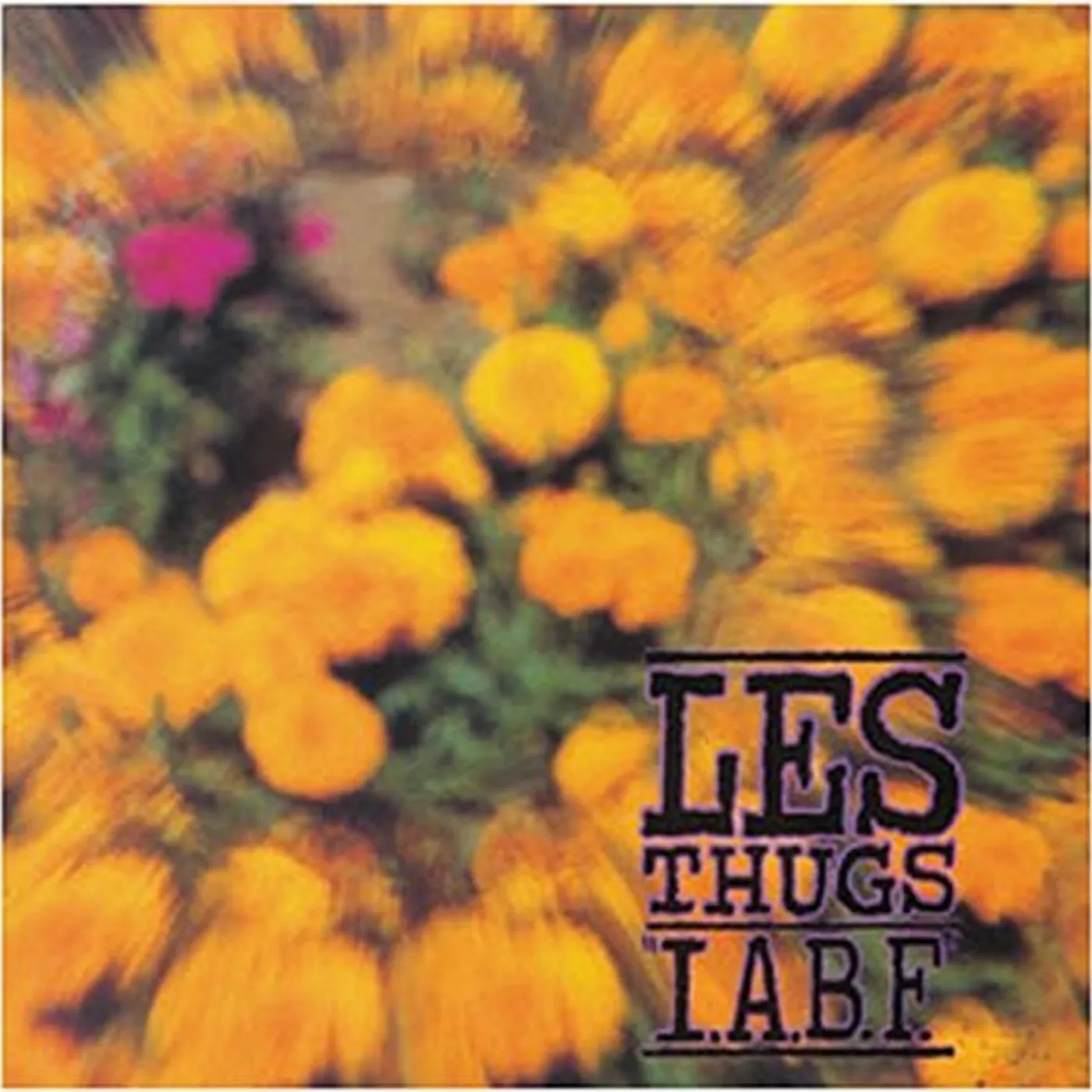 Les Thugs I.A.B.F. Vinyl Record