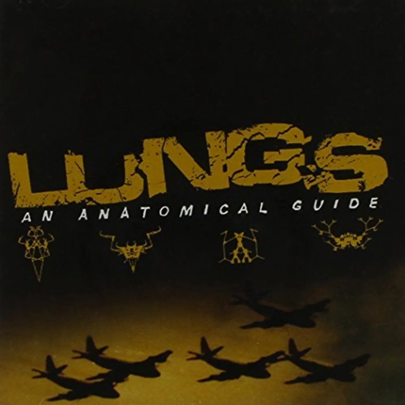 Lungs ANATOMICAL GUIDE AN CD