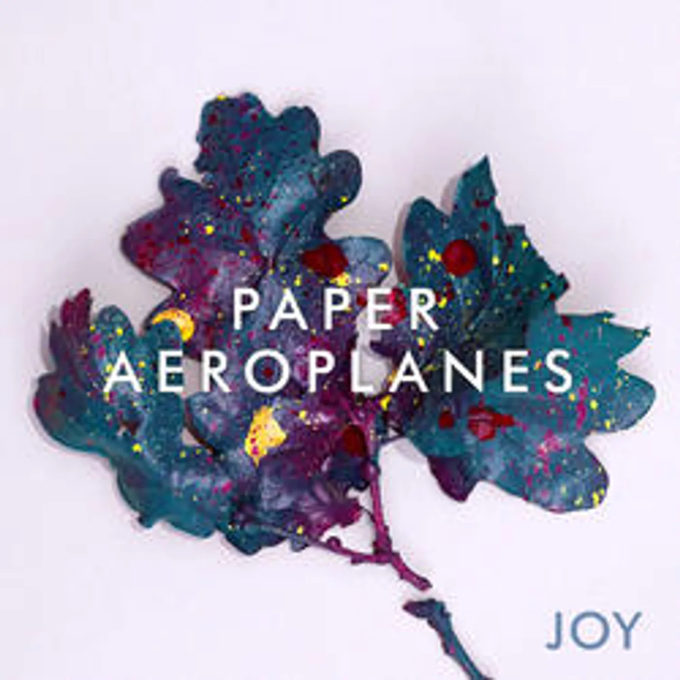 Paper Aeroplanes Joy Vinyl Record