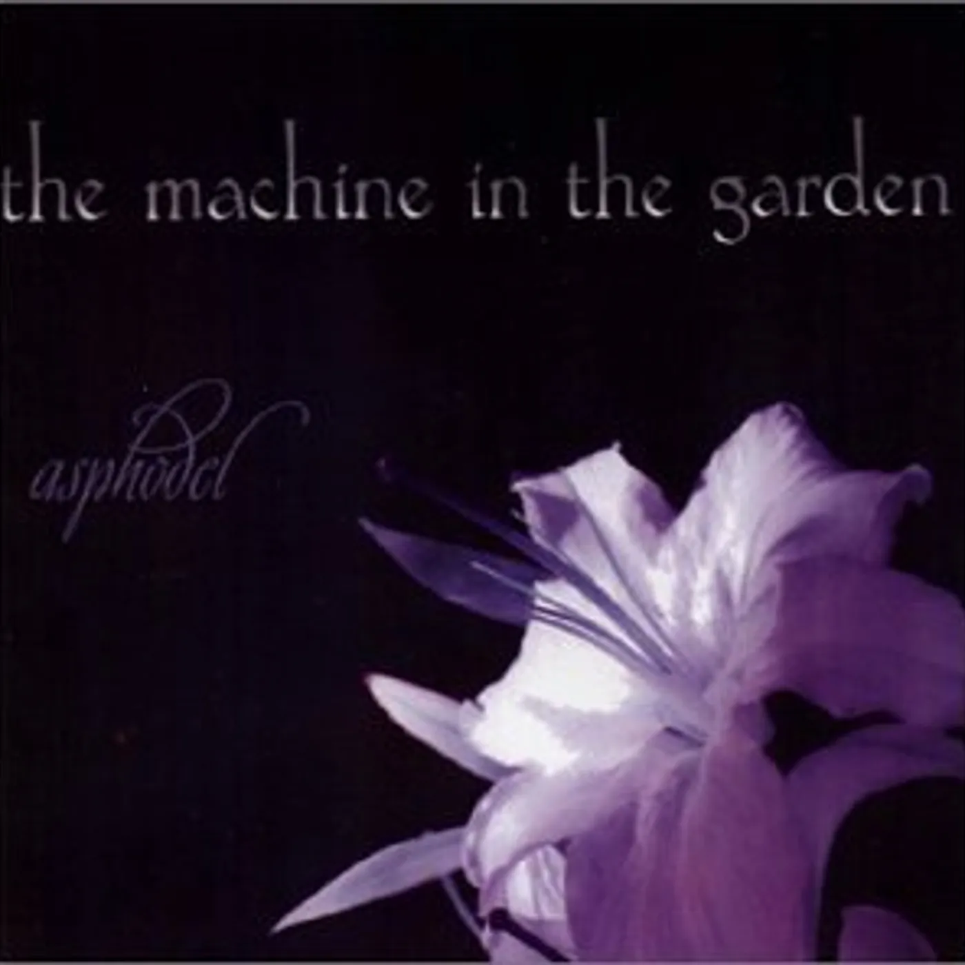 The Machine In The Garden ASPHODEL CD