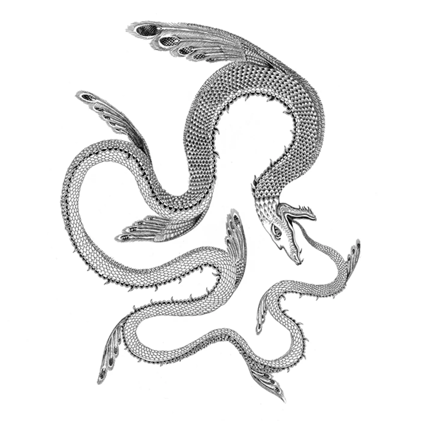 Squadra Omega Il Serpente Nel Cielo Vinyl Record