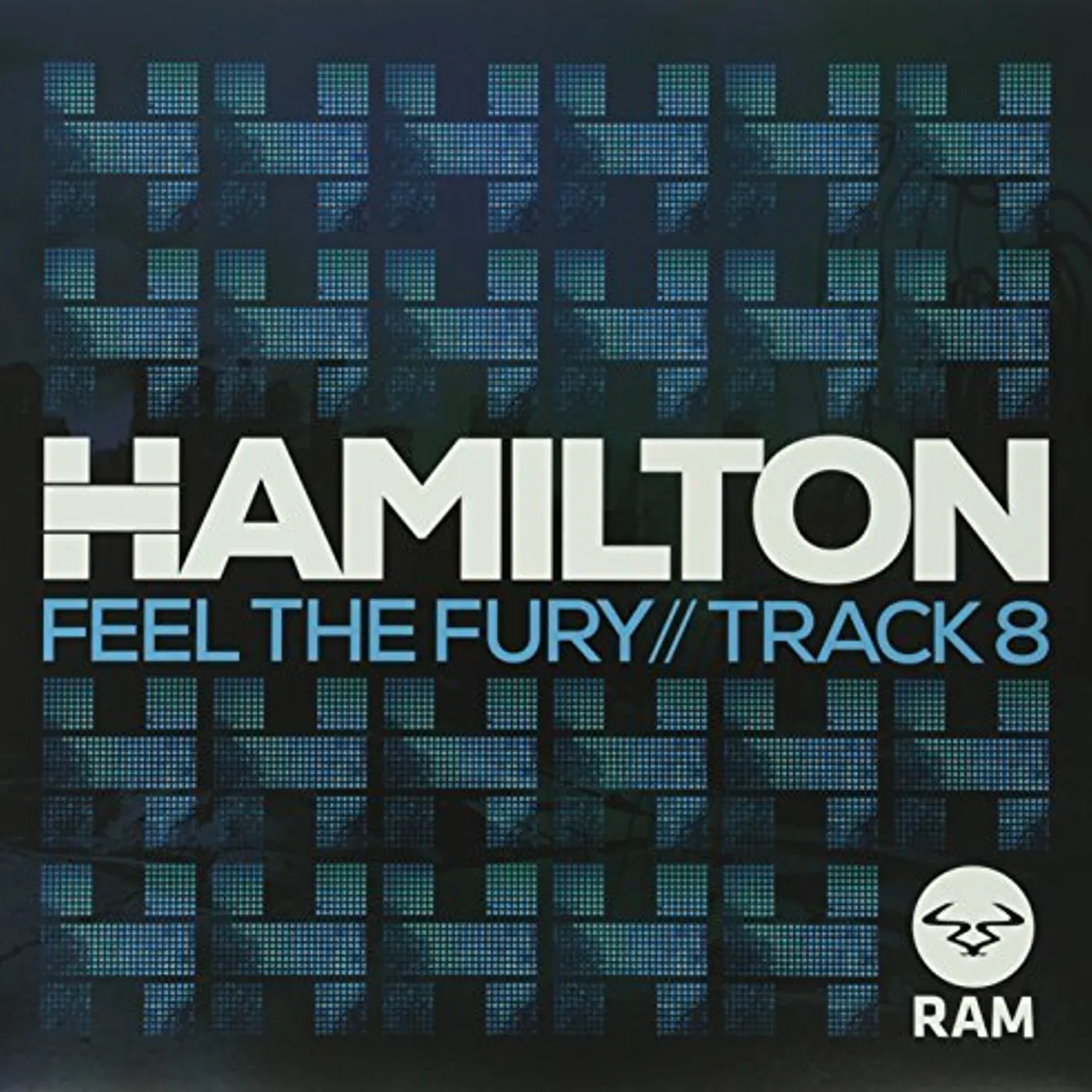 Hamilton (DJ) FEEL THE FURY Vinyl Record