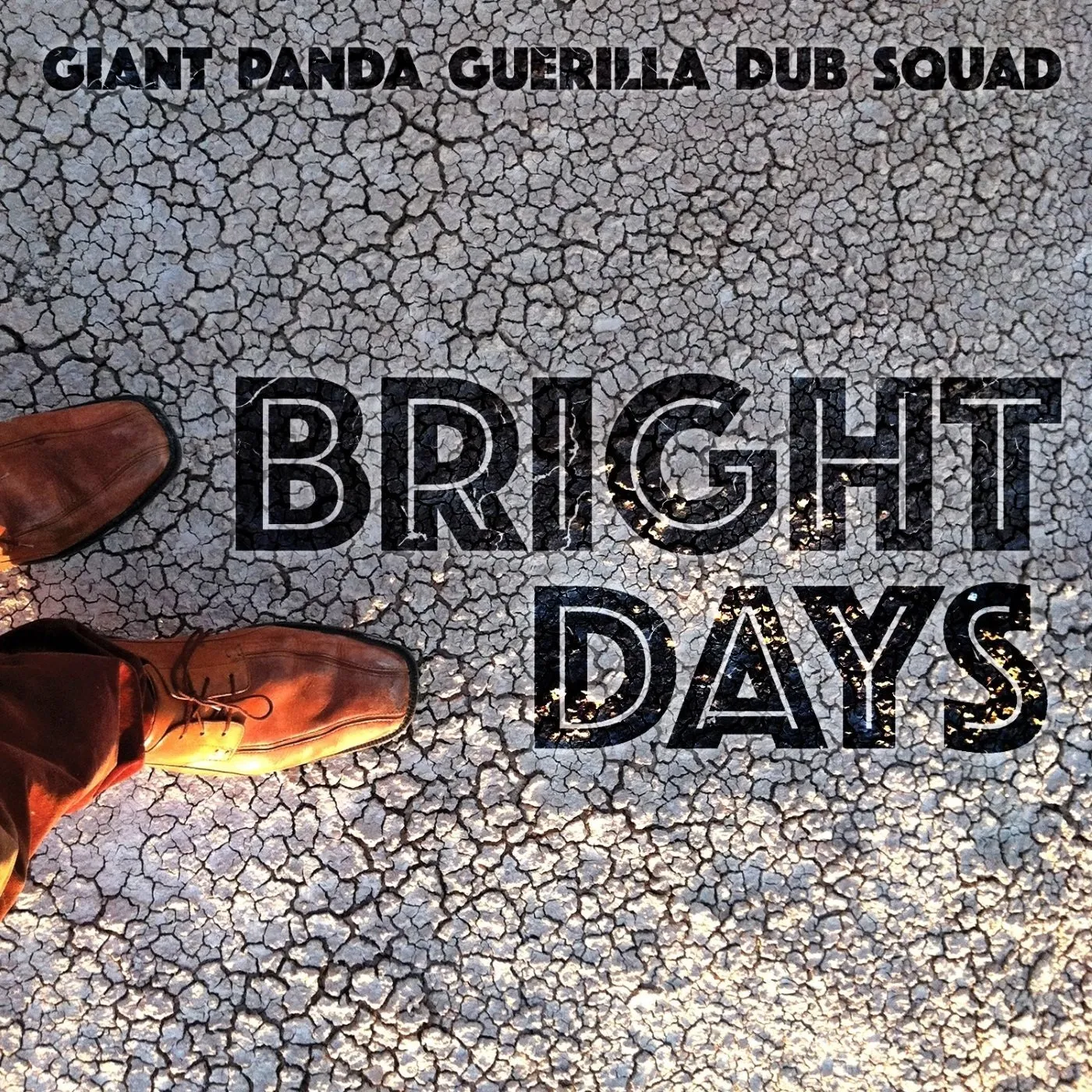 Giant Panda Guerilla Dub Squad Bright Days Vinyl Record