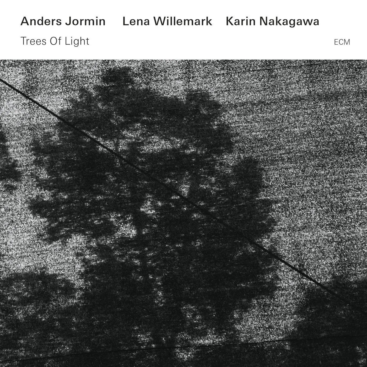 Anders Jormin TREES OF LIGHT CD