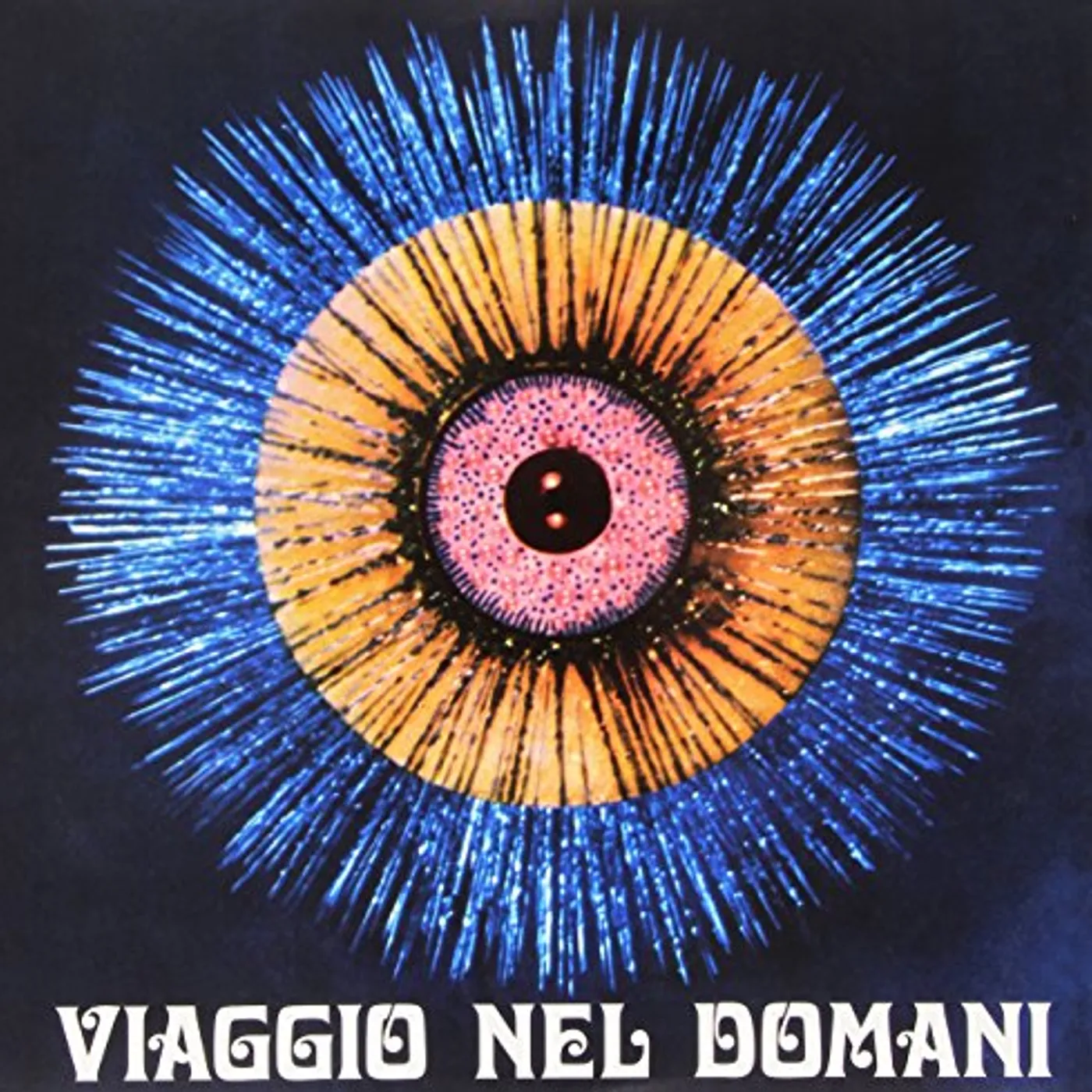 Ruscigan Viaggio Nel Domani Vinyl Record