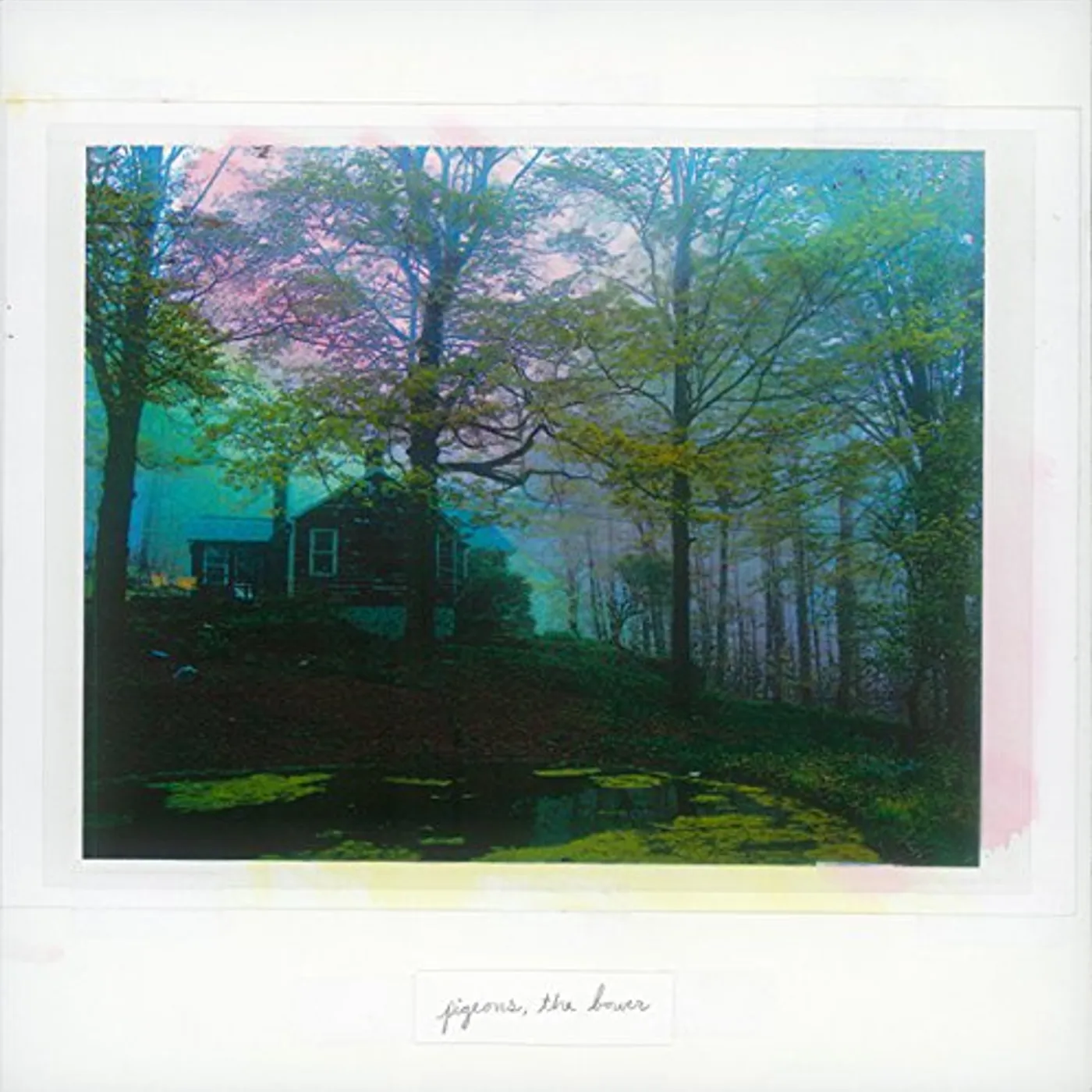 Pigeons BOWER Vinyl Record