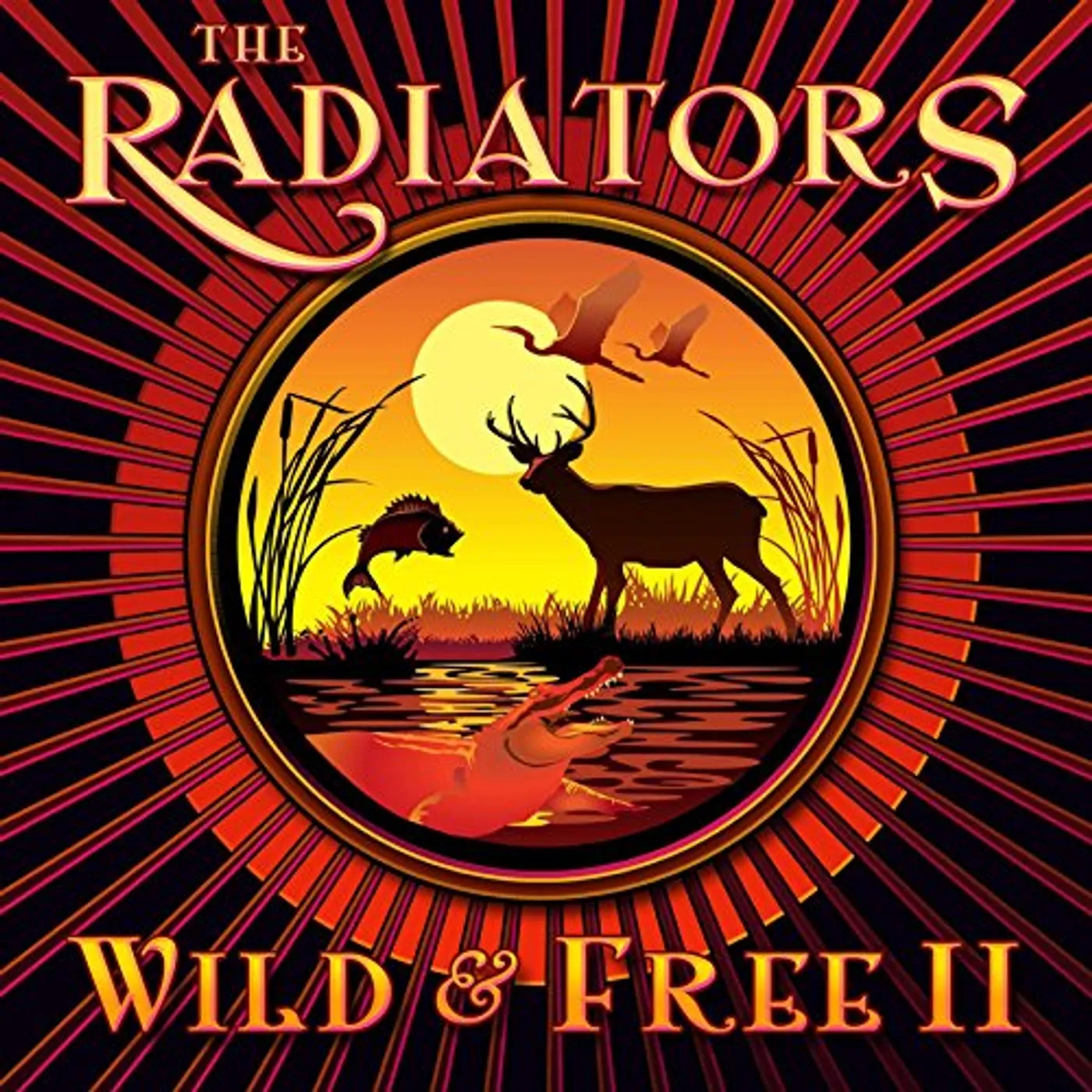 The Radiators WILD & FREE 2 CD