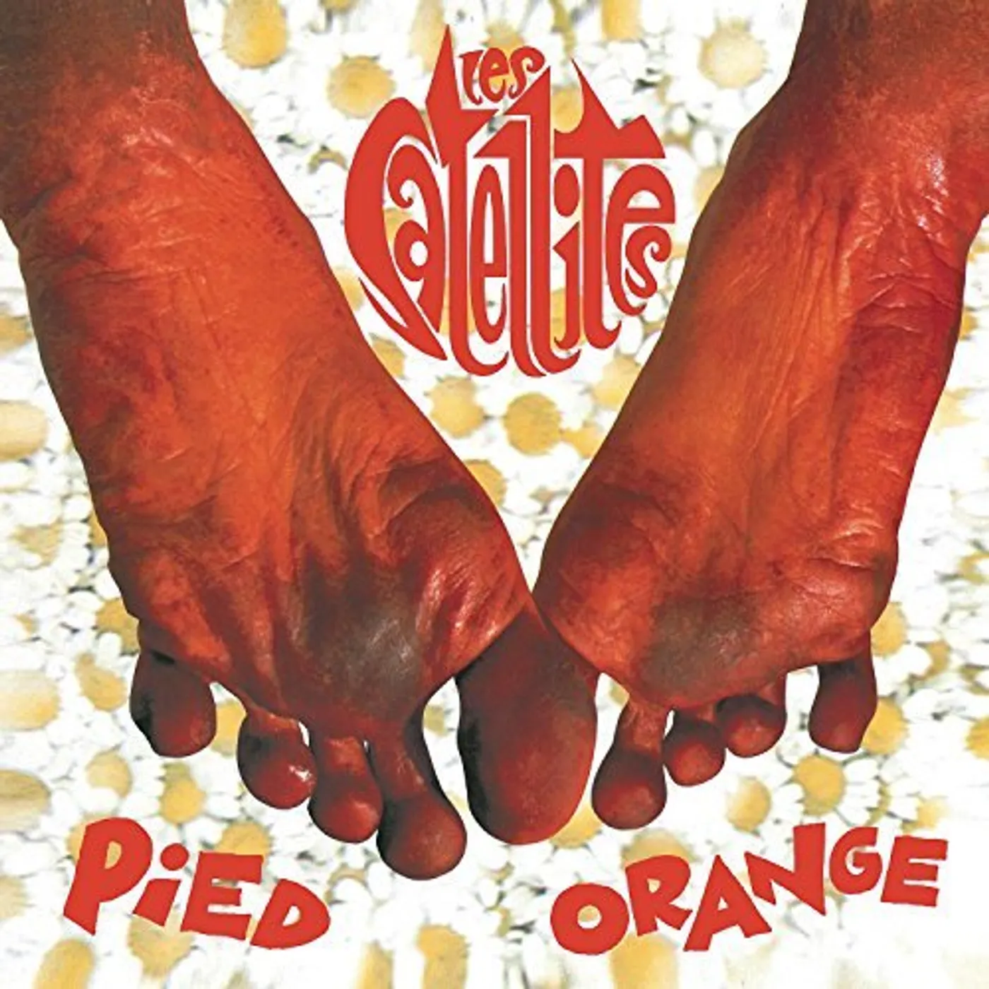 Satellites Pied Orange Vinyl Record
