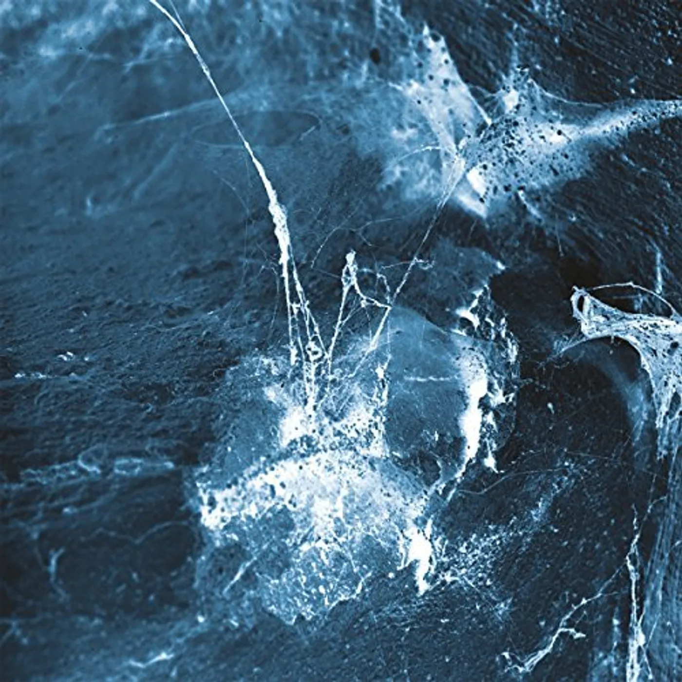 Arstidir Hvel Vinyl Record