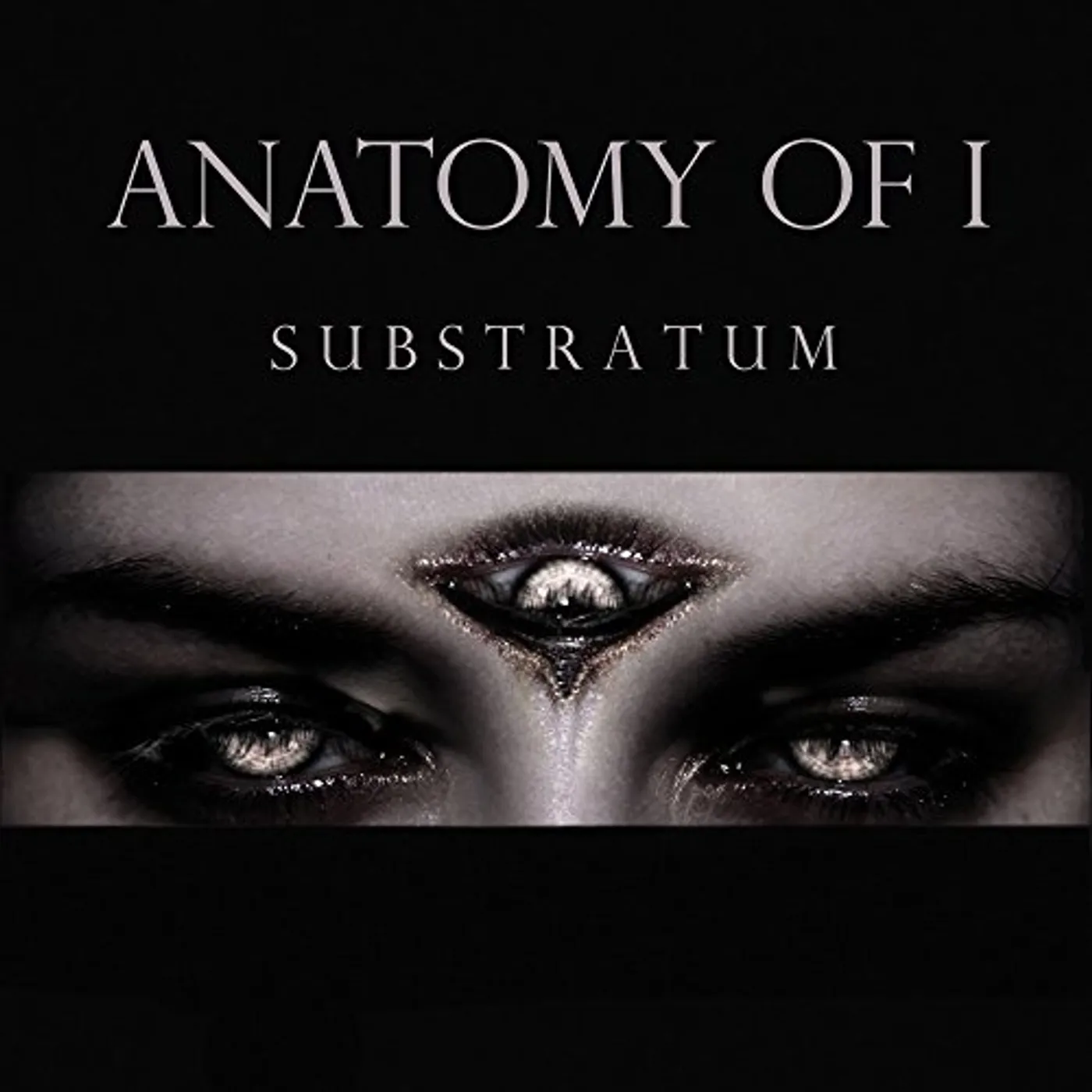 Anatomy of I SUBSTRATUM CD