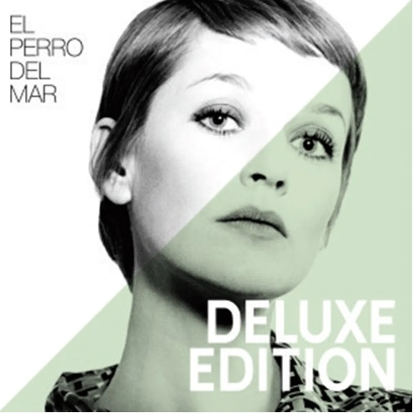 El Perro Del Mar Vinyl Record