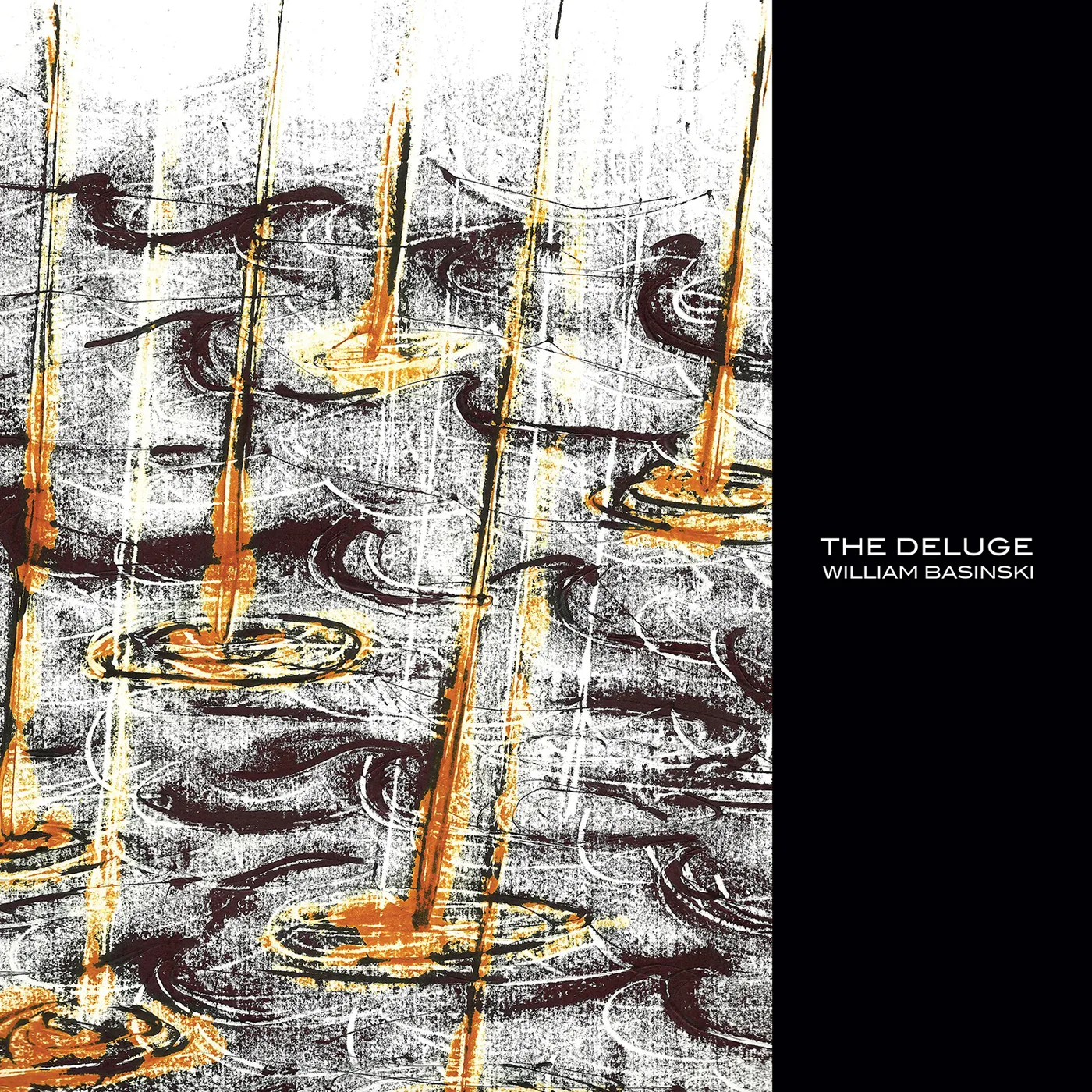 William Basinski DELUGE Vinyl Record