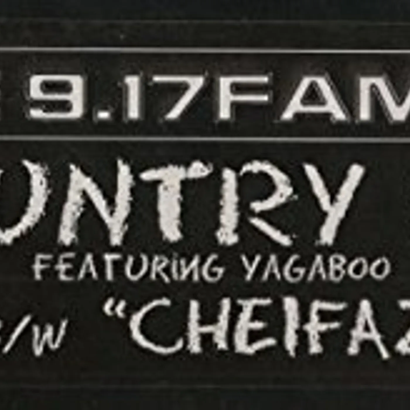 The 9.17 Family COUNTRY BOY Vinyl Record