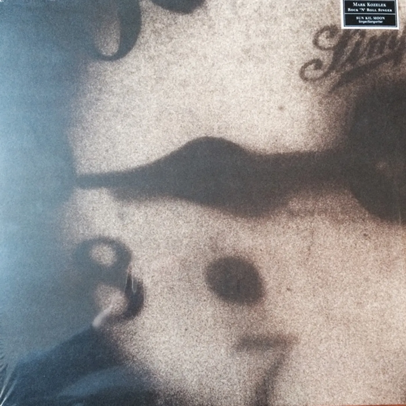 Mark Kozelek ROCK N' ROLL SINGER Vinyl Record