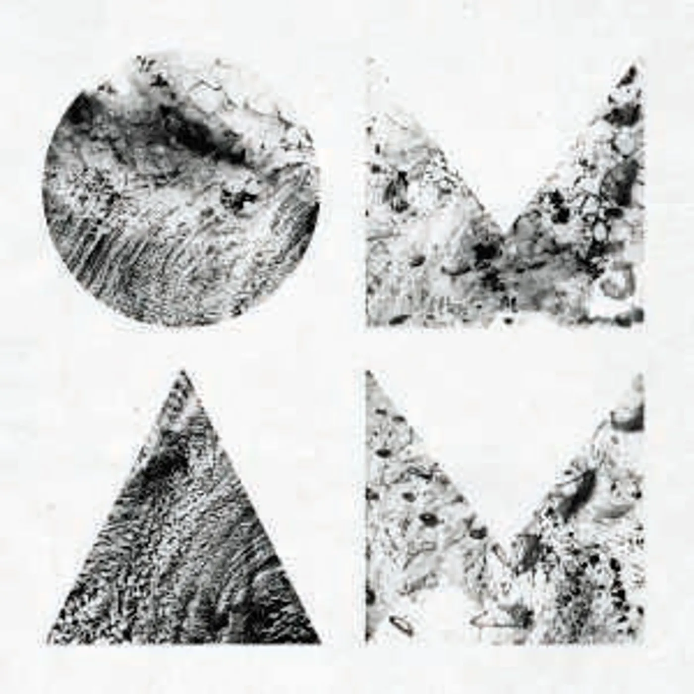 Of Monsters and Men Beneath the Skin Vinyl Record