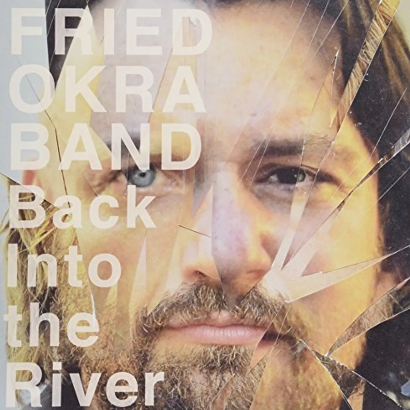 The Fried Okra Band Back into the River Vinyl Record