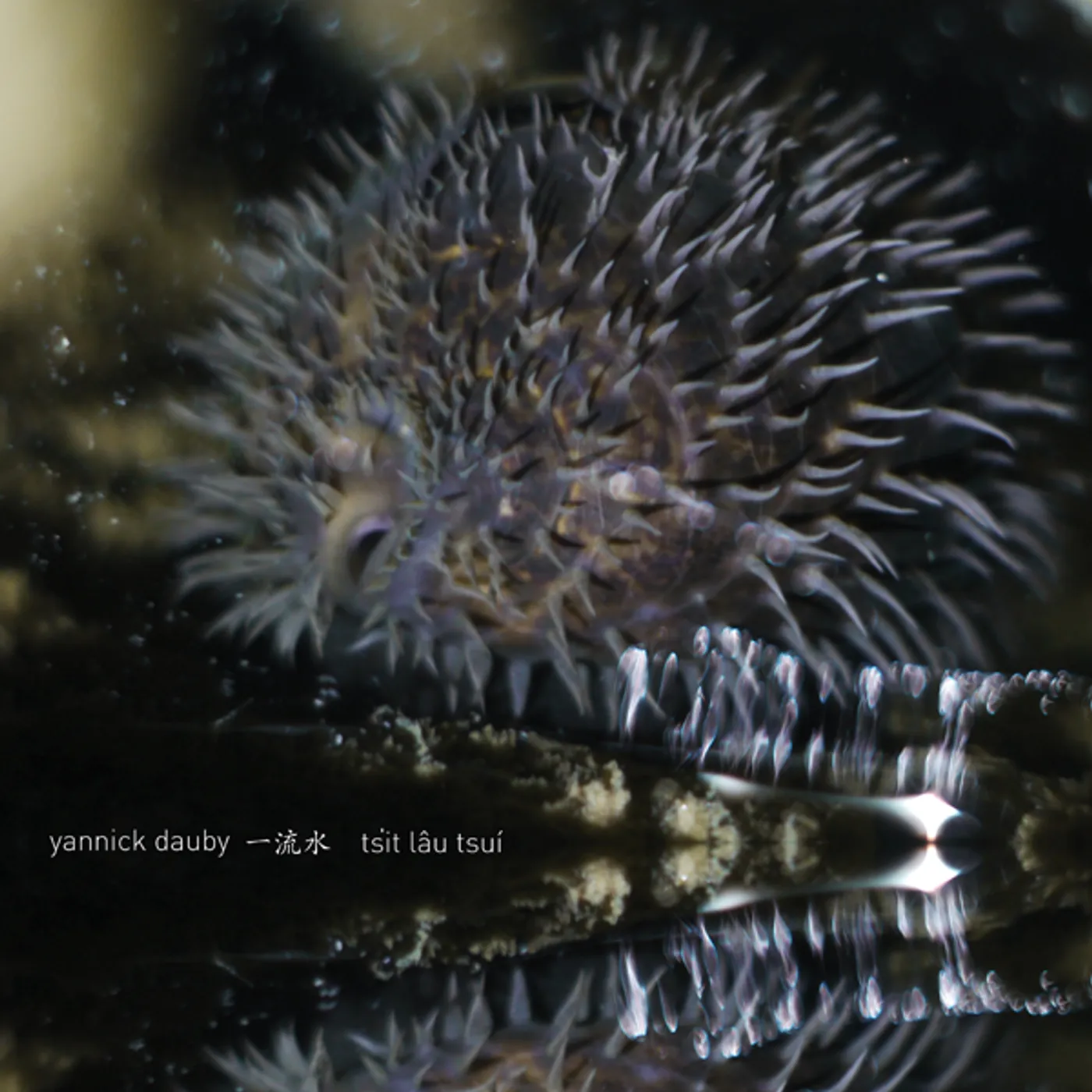 Yannick Dauby PENGHU EXPERIMENTAL SOUND STUDIO 1 Vinyl Record
