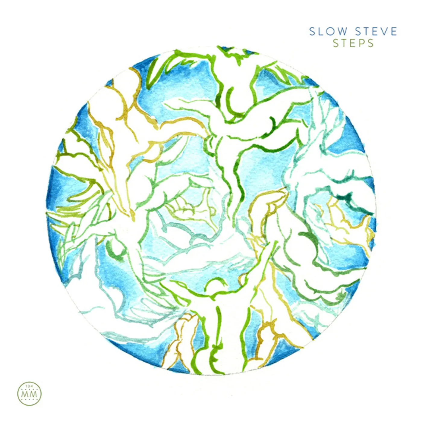 Slow Steve Steps Vinyl Record