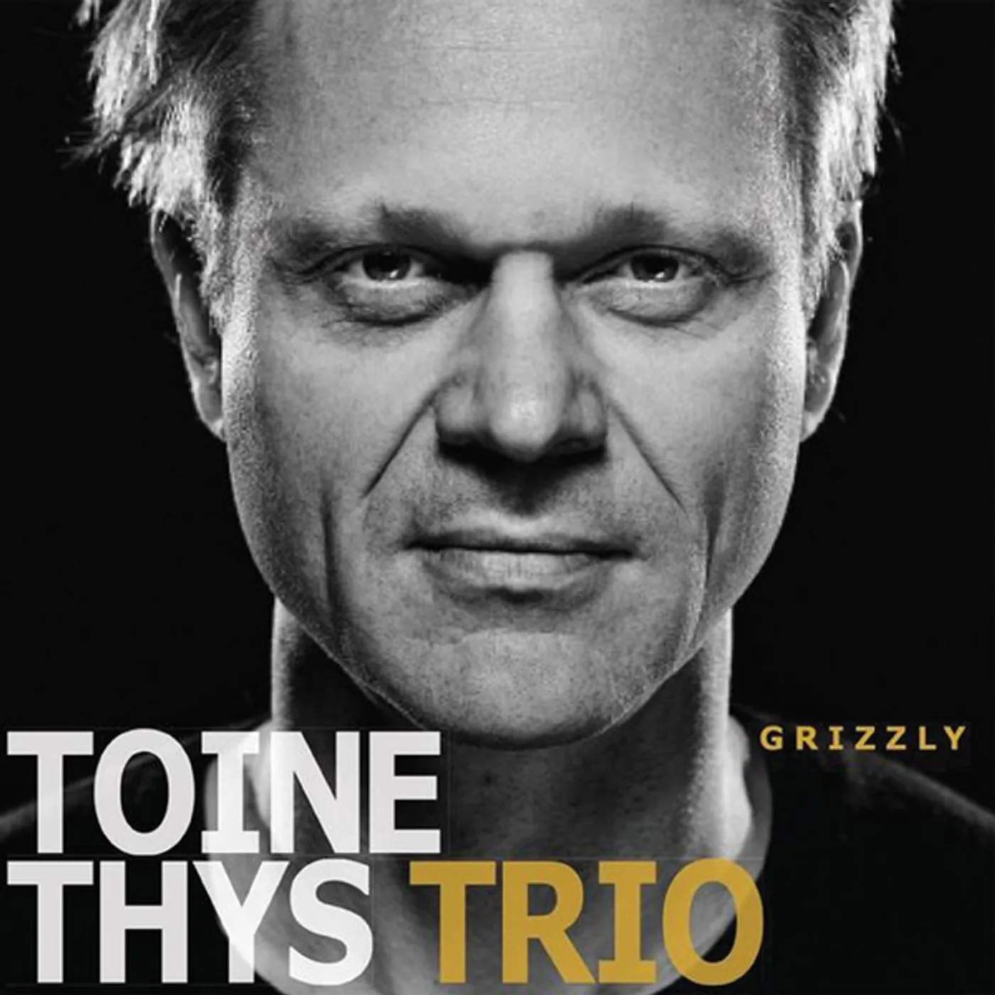 Toine Thys GRIZZLY CD