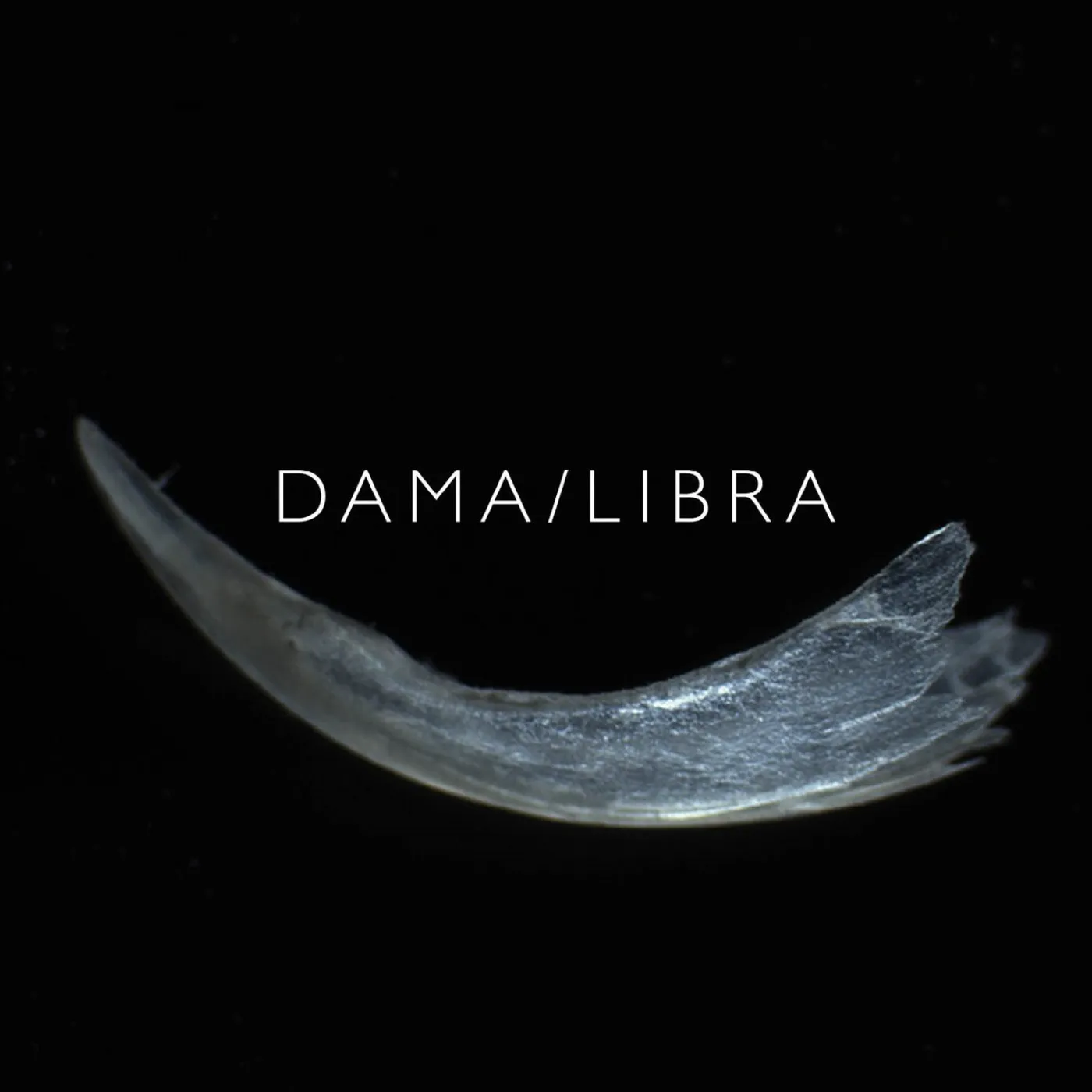 DAMA/LIBRA Claw Vinyl Record