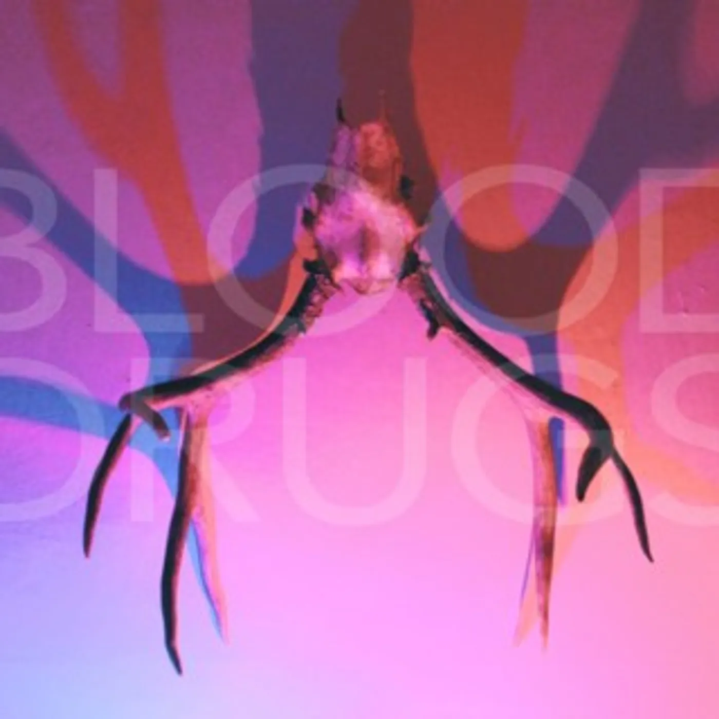 Blood Drugs Vinyl Record
