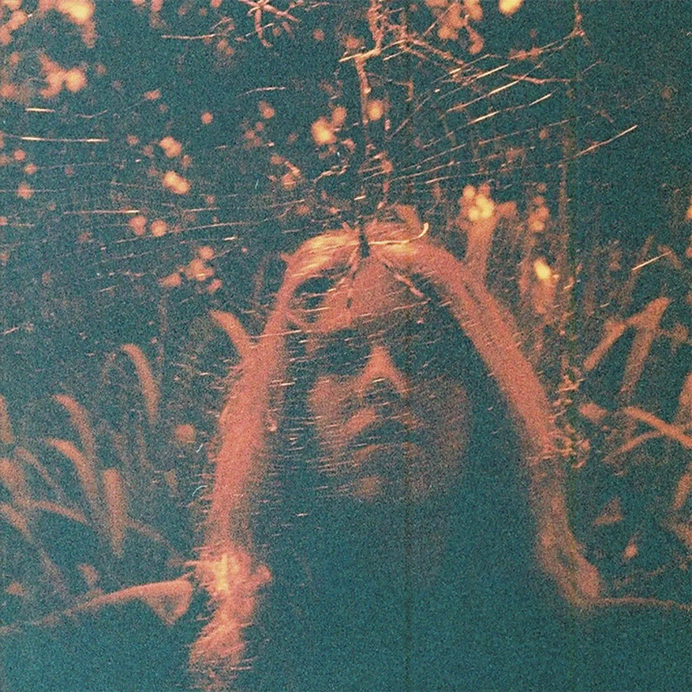 Turnover Peripheral Vision Vinyl Record