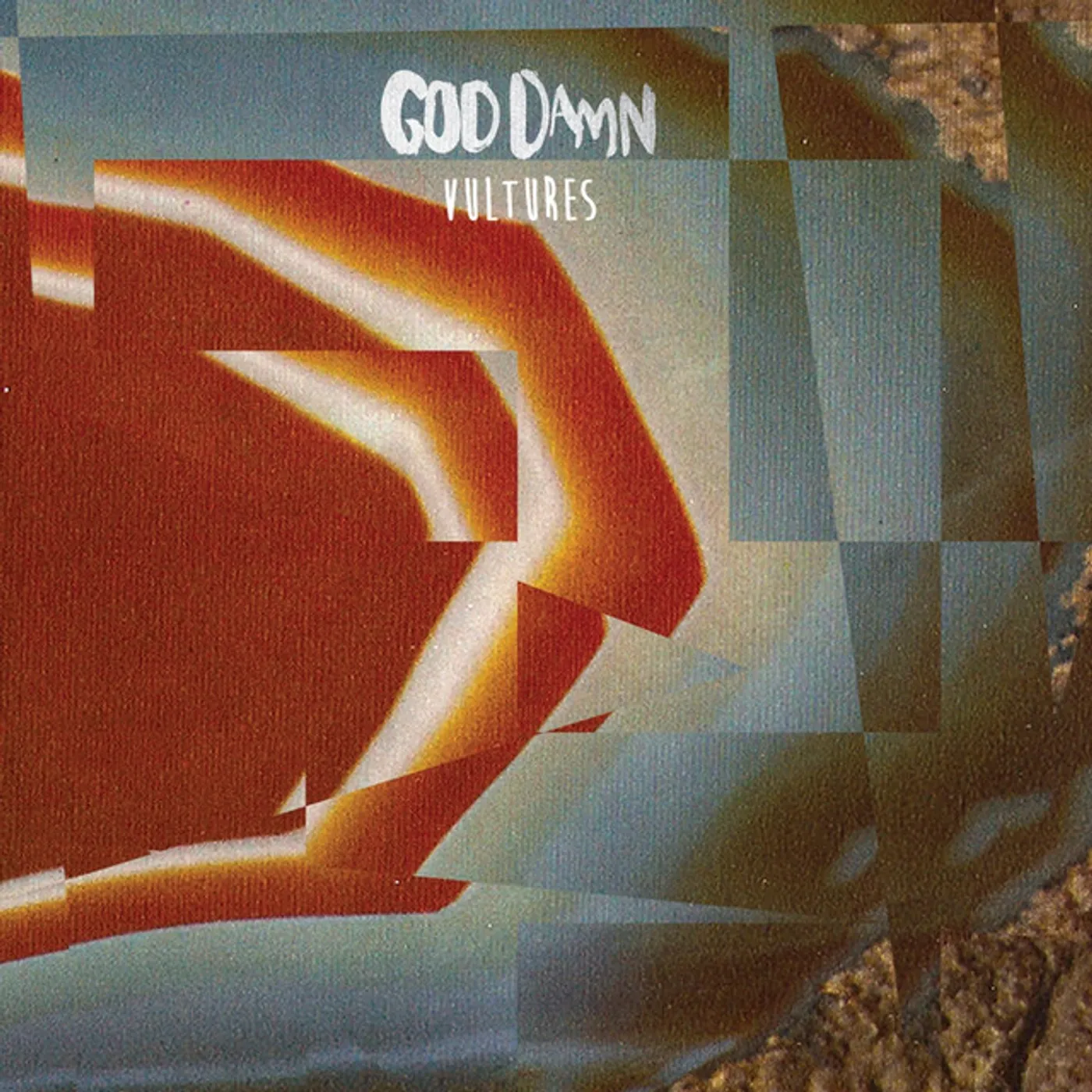 God Damn Vultures Vinyl Record