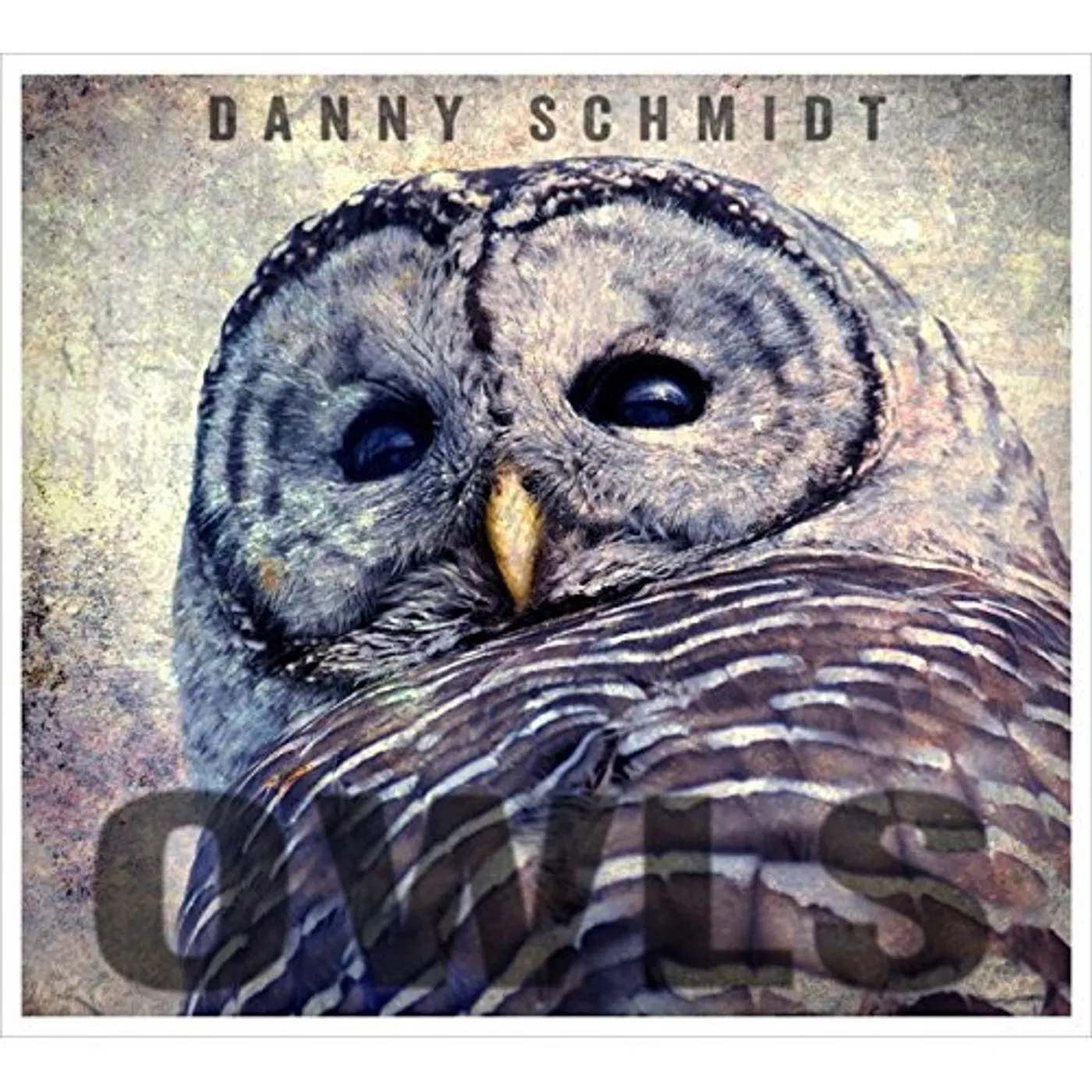 Danny Schmidt OWLS CD