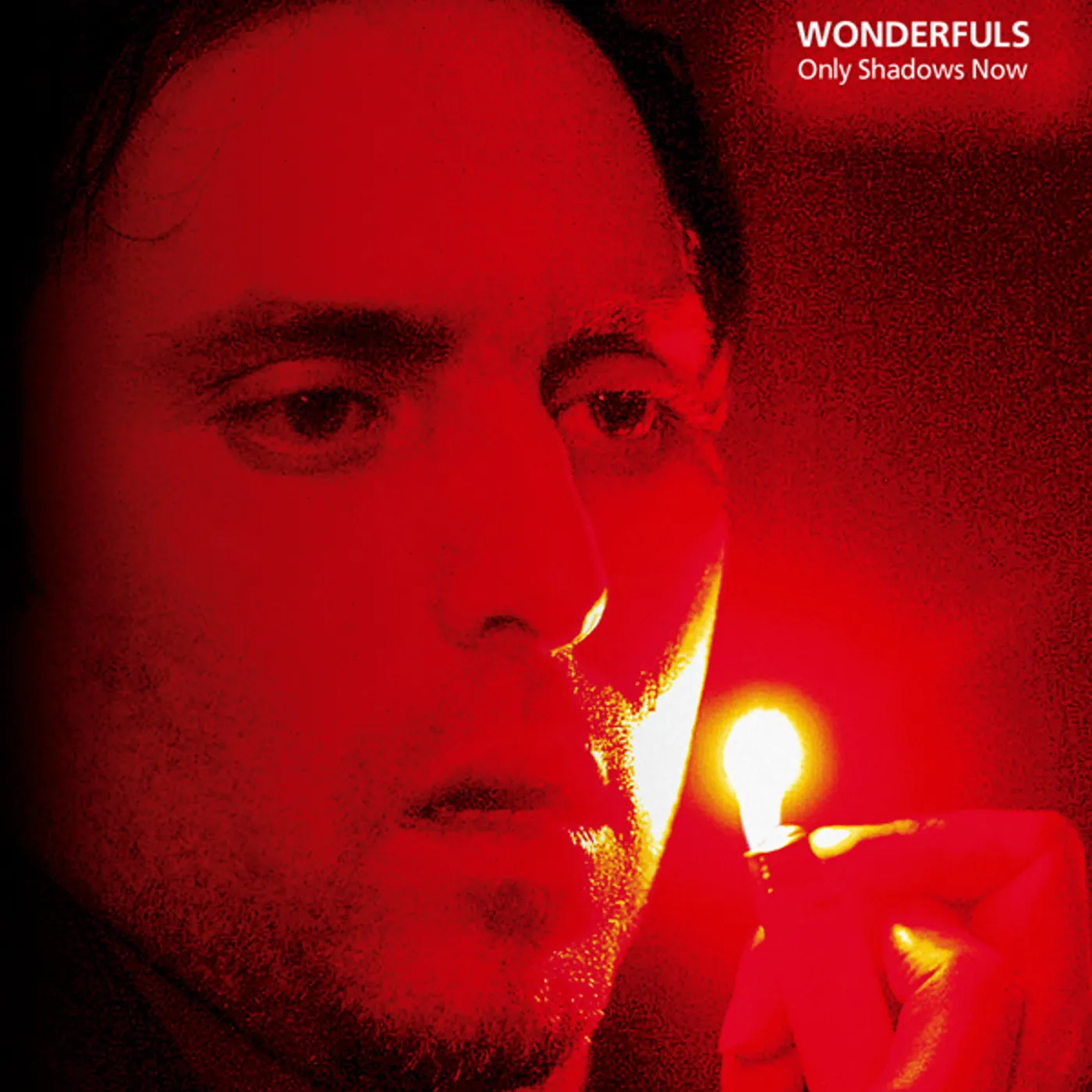 The Wonderfuls Only Shadows Now Vinyl Record