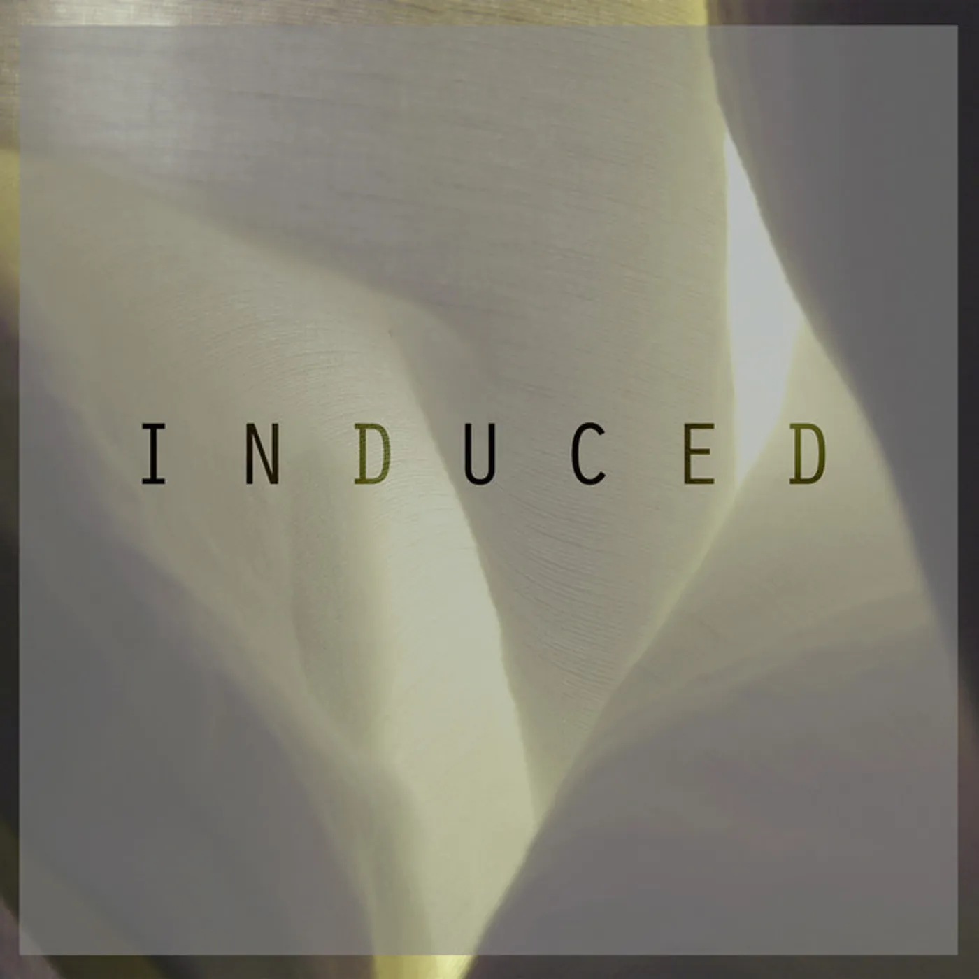 Pazes Induced Vinyl Record