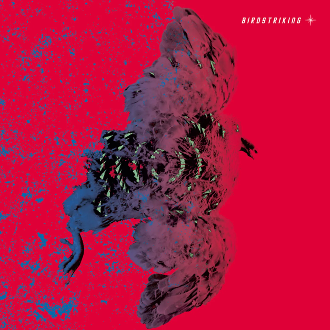 Birdstriking Vinyl Record