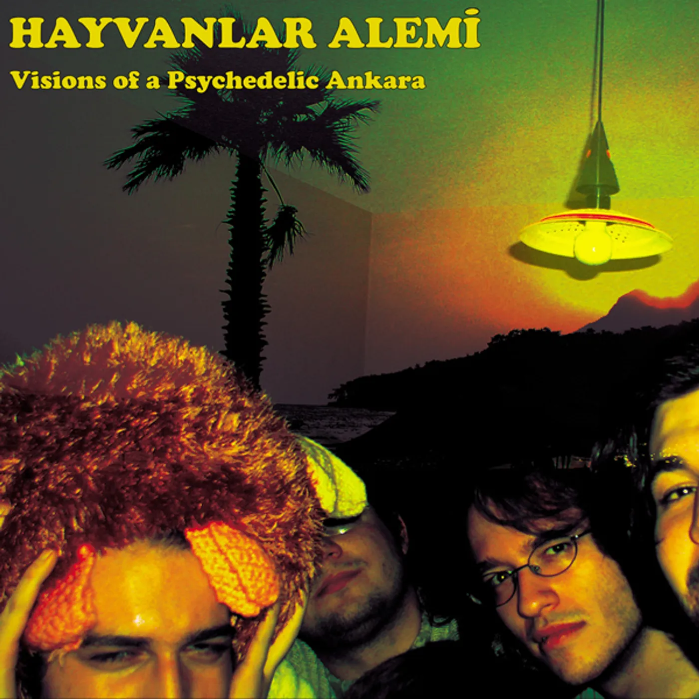 Hayvanlar Alemi VISIONS OF A PSYCHEDELIC ANKARA Vinyl Record