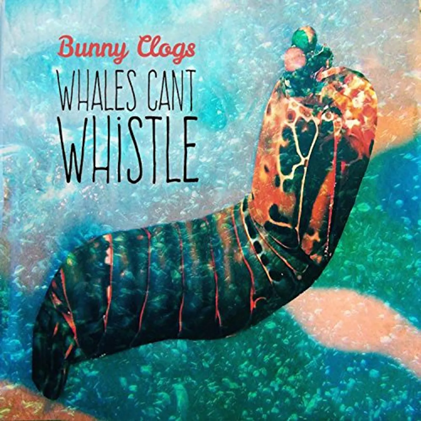 Bunny Clogs WHALES CAN'T WHISTLE CD