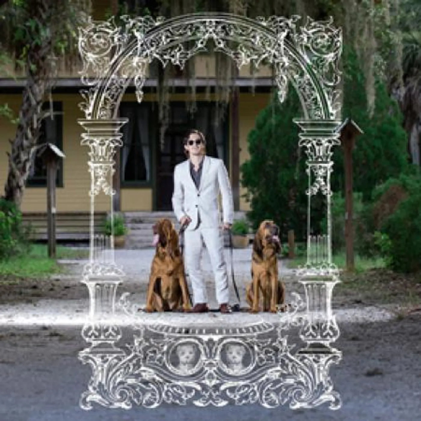 Pet Symmetry PETS HOUNDS Vinyl Record