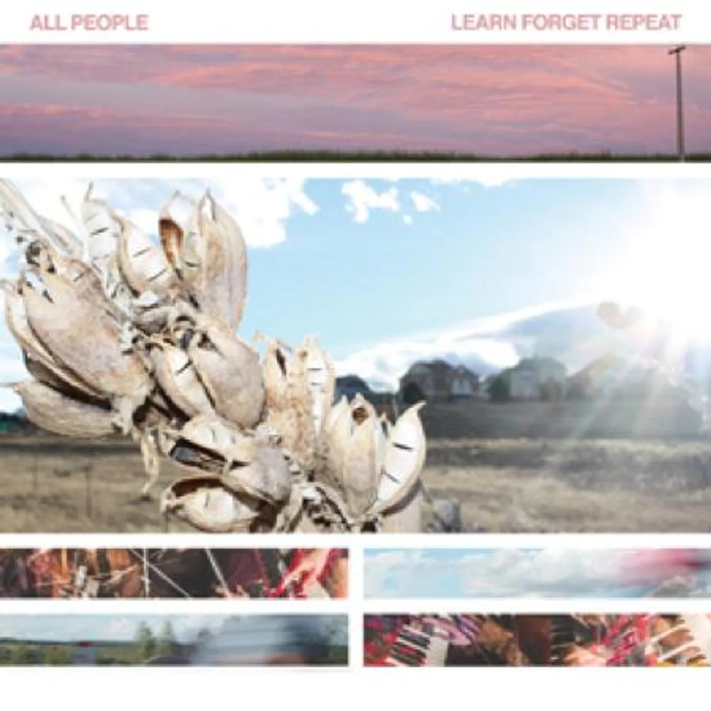 All People LEARN FORGET REPEAT! Vinyl Record