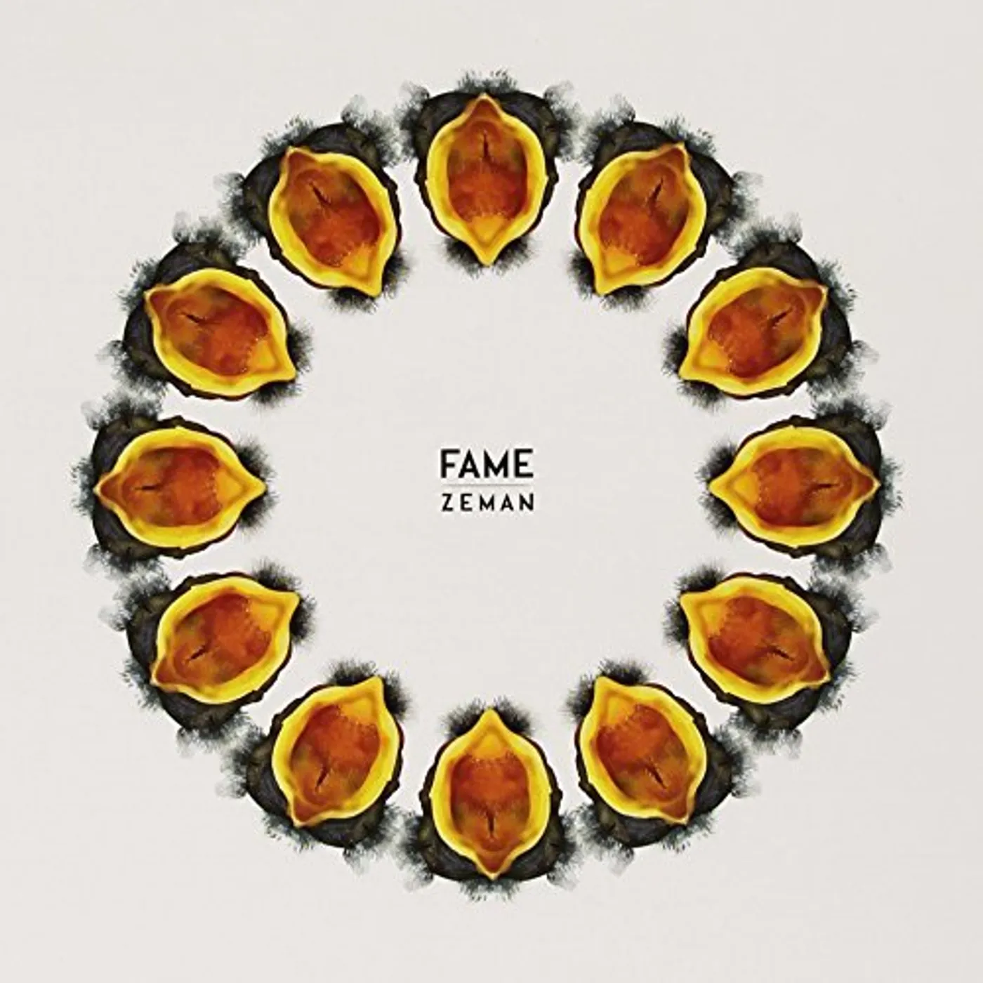 Zeman Fame Vinyl Record