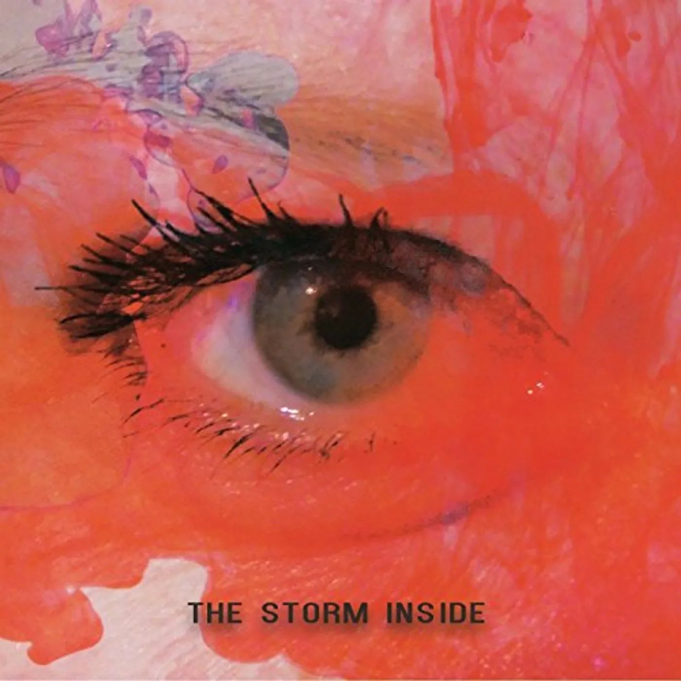 Little Devils STORM INSIDE CD