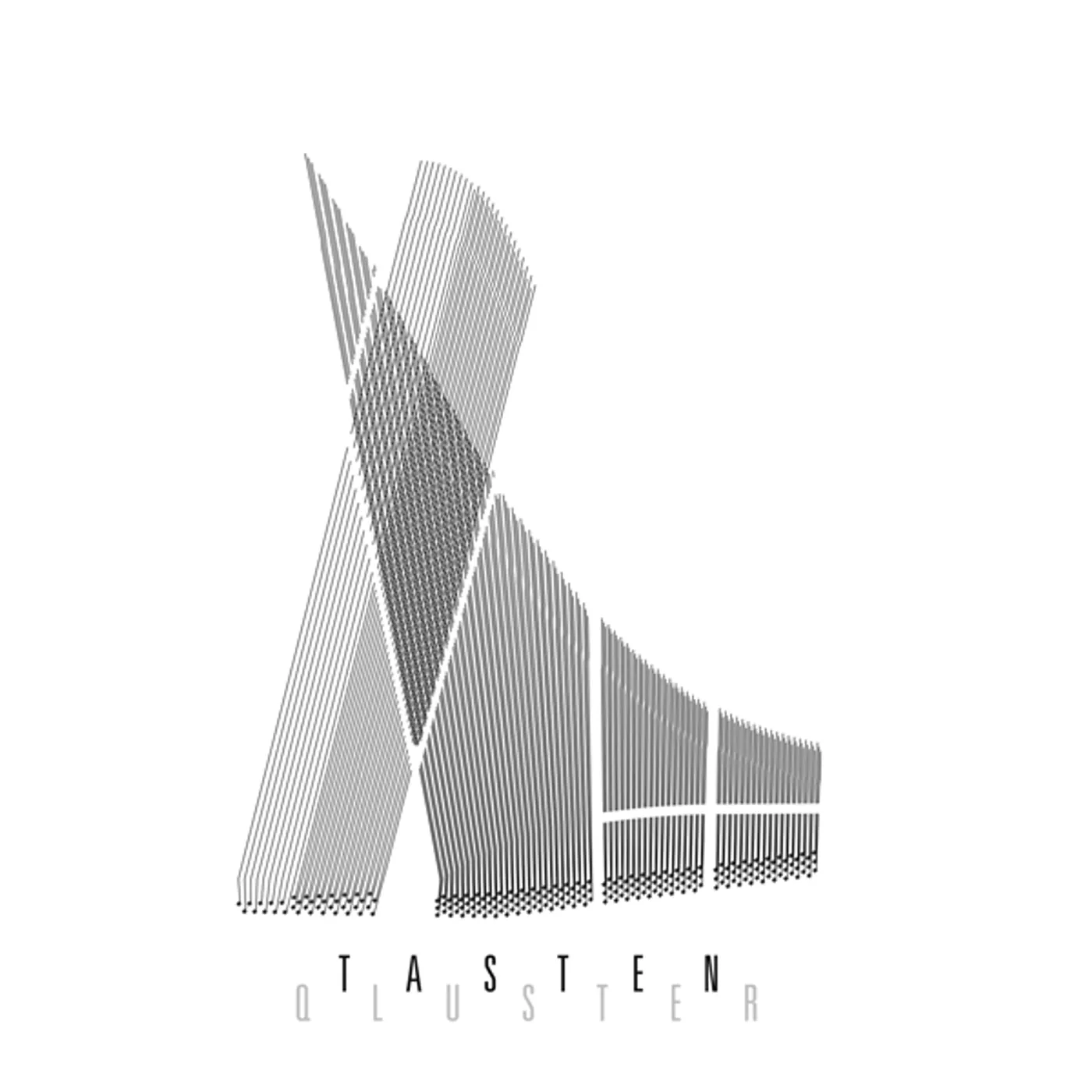 Qluster Tasten Vinyl Record