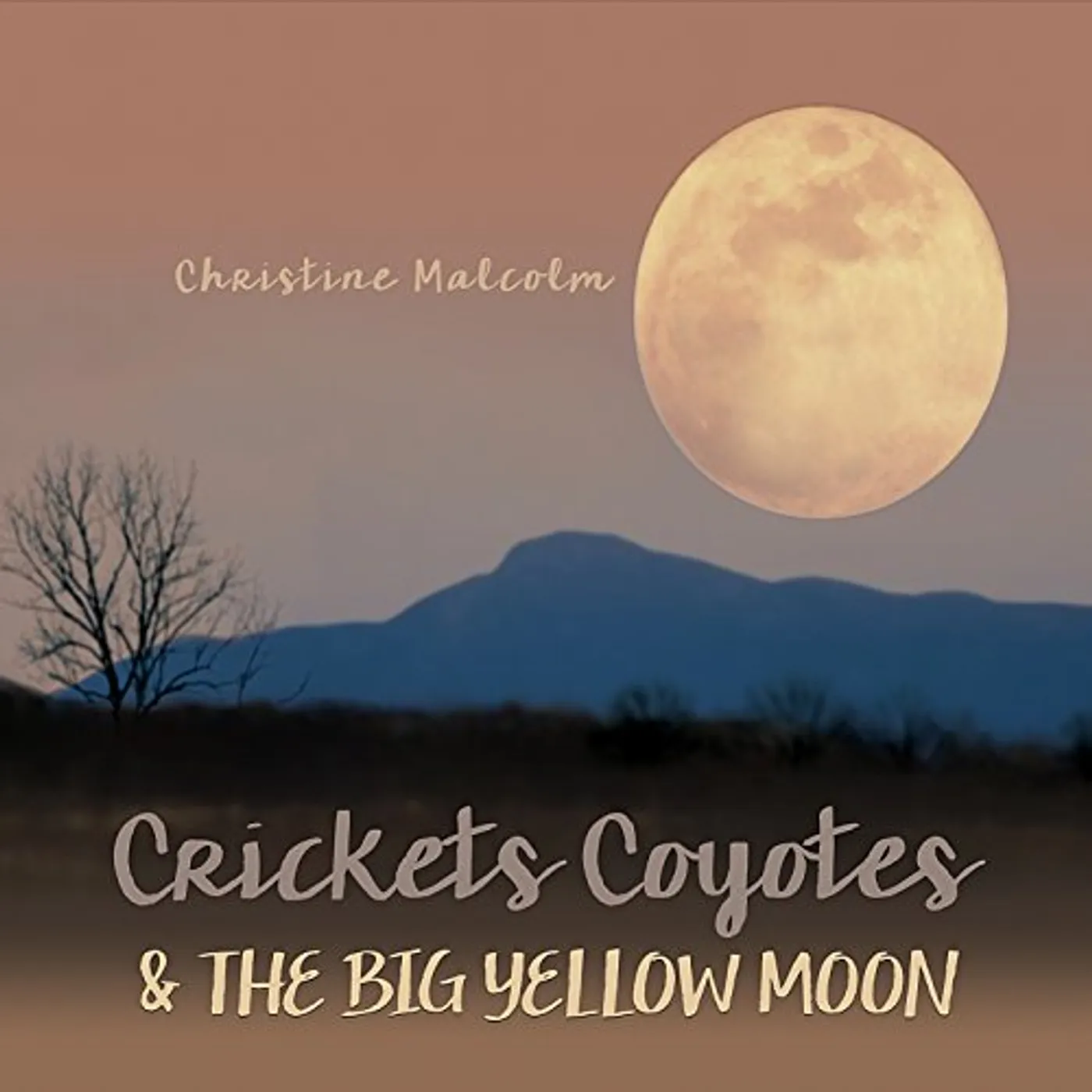Christine Malcolm CRICKETS & COYOTES & THE BIG YELLOW MOON CD