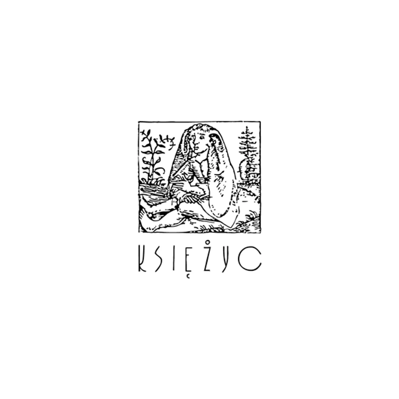 Księżyc Vinyl Record