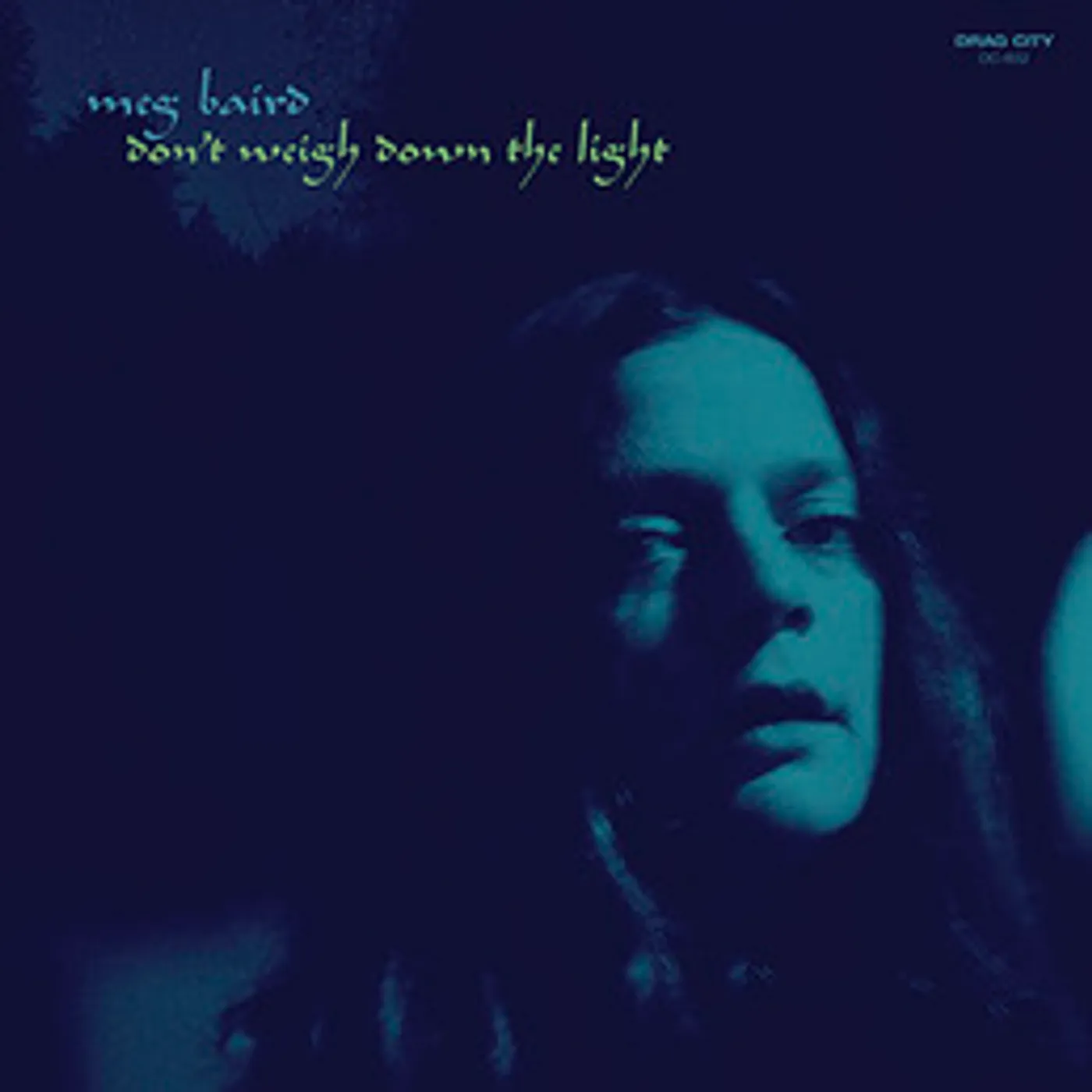 Meg Baird Don't Weigh Down the Light Vinyl Record