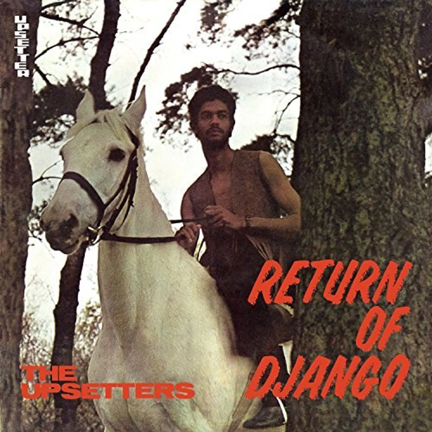 The Upsetters Return Of Django Vinyl Record