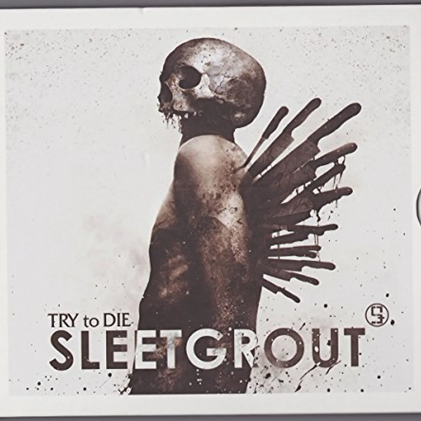 Sleetgrout TRY TO DIE CD