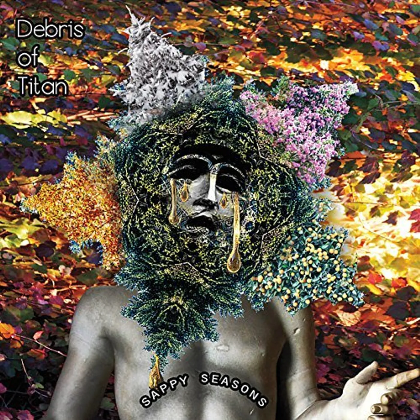 Debris of Titan SAPPY SEASONS CD